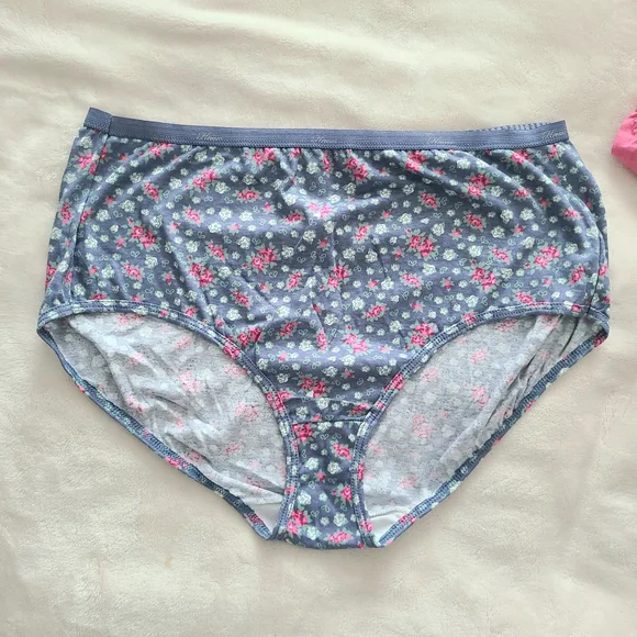 Women's Hanes Briefs Underwear Set Size 10 - Picture 9 of 10